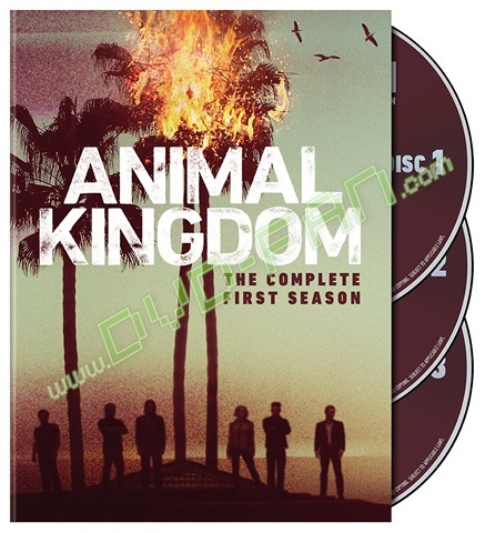 Animal Kingdom: The Complete First Season