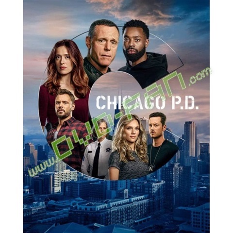 Chicago PD season 8