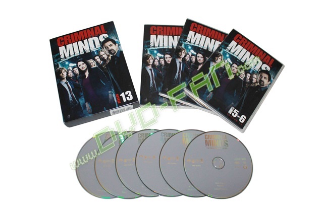 Criminal Minds: The Thirteenth Season dvds