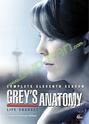 Grey's Anatomy Season 11 dvd wholesale China