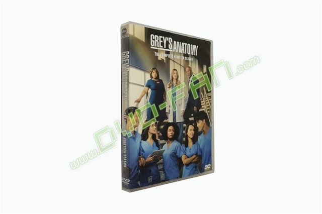 Grey’s Anatomy Season 19 DVD