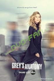 Grey's Anatomy The Complete Series Seasons 1-16