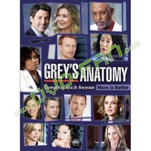 Grey's Anatomy the Complete Sixth Season