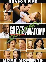 Greys Anatomy season 5