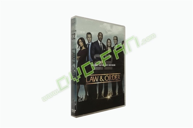 Law & Order: Season 22 [DVD]