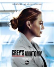 grey-s-anatomy-season-17