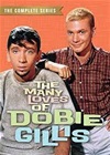 The Many Loves of Dobie Gillis: The Complete Series