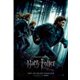 Harry Potter and the Deathly Hallows - Part 1 Breaks IMAX